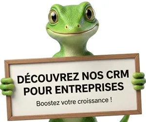 Gecko developpement — Pavé
