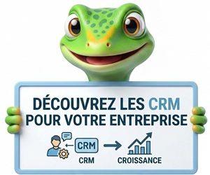 Gecko developpement — Pavé